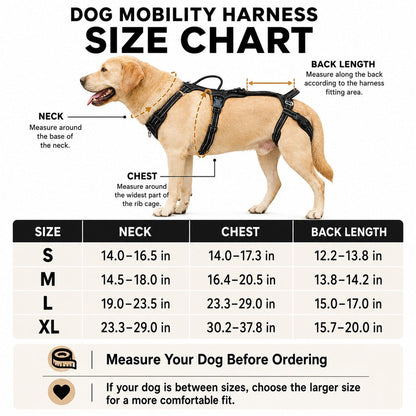 Ortekor Full Body Dog Lift Harness for Stairs & Car - Mobility Support for Weak Hind Legs