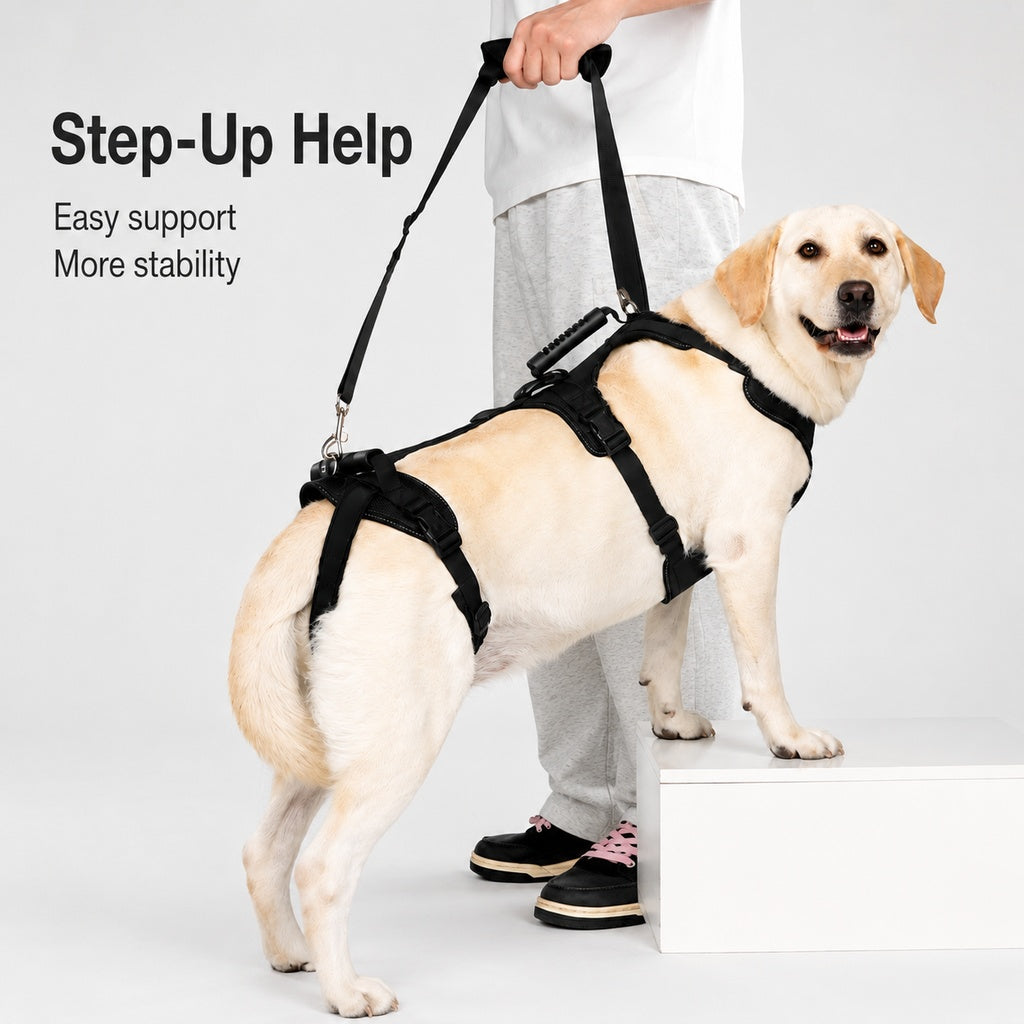 Ortekor Full-Body Dog Lift Harness for Large Dogs - Front & Rear Mobility Support for Stairs, Car Ramps and Weak Hind Legs
