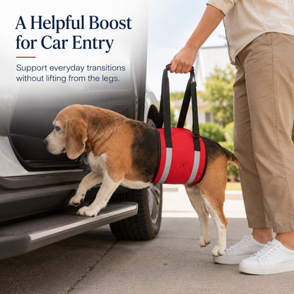 Ortekor Reflective Dog Lift Support Sling - Belly Assist for Dogs with Limited Mobility on Stairs, Walks & Car Entry