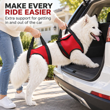 Ortekor Dog Mobility Lift Harness for Senior & Limited-Mobility Dogs - Front, Rear & Full Support for Stairs, Cars & Daily Walking