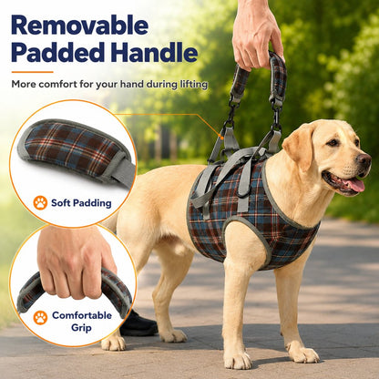 Ortekor Dog Mobility Support Harness for Stairs & Cars - Front or Rear Lift Assist for Weak Legs