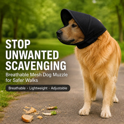 Ortekor Breathable Anti-Scavenging Dog Muzzle for Walks - Mesh Hood Helps Block Food Scraps & Trash