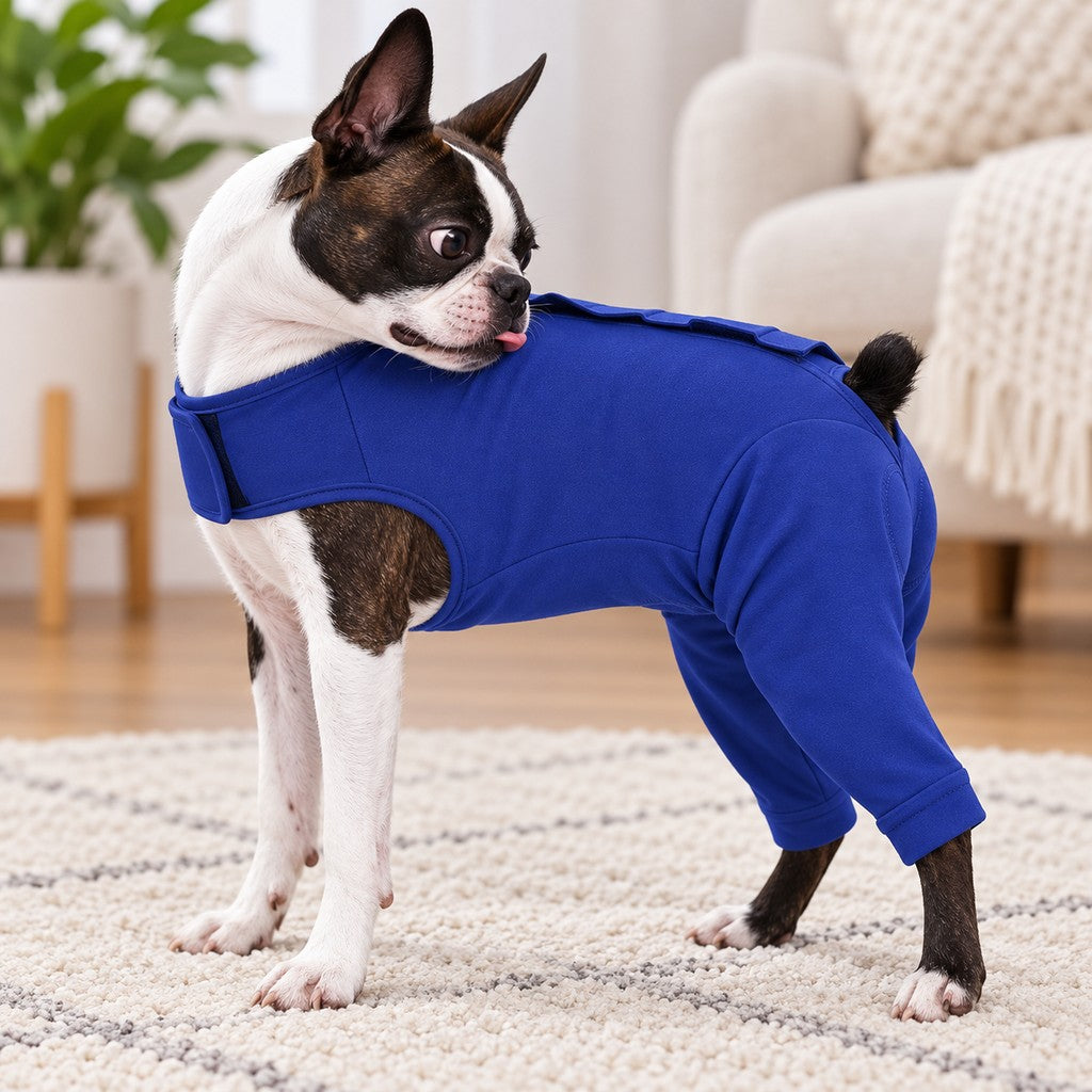 Ortekor Dog Post-Surgery Recovery Suit - Rear Leg Anti-Lick Cone Alternative