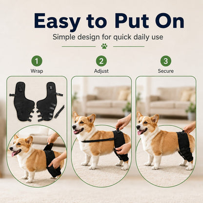 Ortekor Dog Rear Leg Support Brace for Senior & Weak Dogs - Adjustable Hind Leg Mobility Support for Walking & Daily Care
