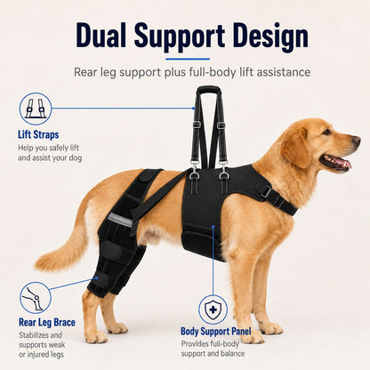 Ortekor Dog Rear Leg Support Harness for Senior Dogs - Walking & Mobility Lift Assistance