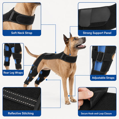 Ortekor Dog Rear Leg Support Harness for Senior Dogs - Dual Hind Leg Mobility Aid for Walking & Standing