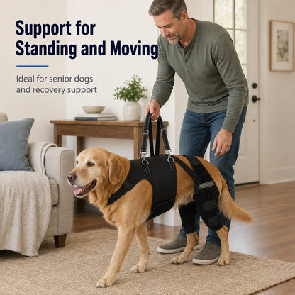 Ortekor Dog Rear Leg Support Harness for Senior Dogs - Walking & Mobility Lift Assistance