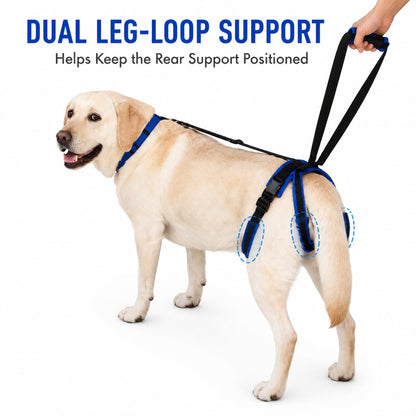 Ortekor Adjustable Dog Rear Lift Support Harness - Hind Leg Assistance for Stairs, Car Entry & Daily Walks
