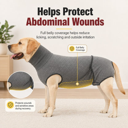 Ortekor Dog Recovery Suit with Pad Layer for Post-Surgery, Heat Cycles & Licking Protection