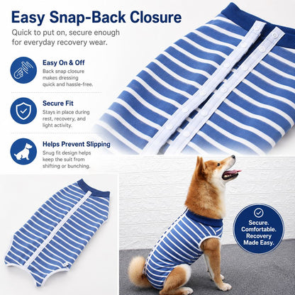 Ortekor Dog Post-Surgery Recovery Suit for Spay & Neuter - Anti-Lick Cone Alternative
