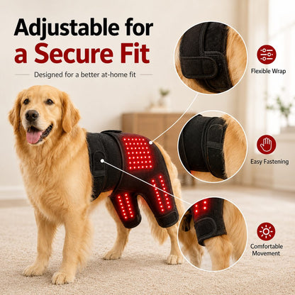 Ortekor Wearable red light therapy sleeve for dogs, used for home care of the lower back and hind legs/hips.