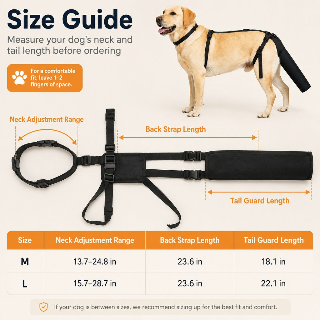 Ortekor Adjustable Dog Tail Protector for Recovery & Daily Walks - Padded Guard for Sensitive Tails