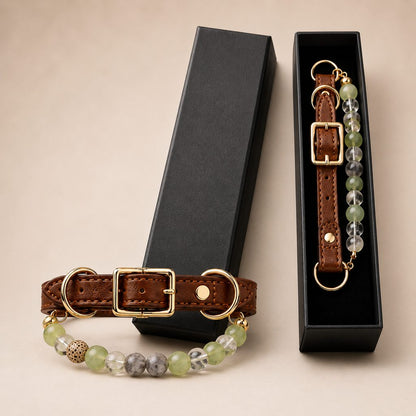 Ortekor Four Elements Crystal Pet Collar Gift Box for Cats & Small Dogs - Photo-Ready Astrology Pet Jewelry for Birthdays, Holidays & Meaningful Pet Gifts