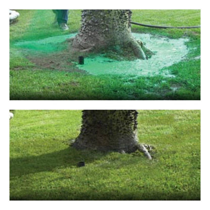 Grass Seed Coating Spray for Bare Lawn Patches – Hydro Seeding Solution for Yard Repair, Turf Restoration & Dense Green Coverage