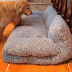 Paniers pour petits chiens et chats, canapé-lit en peluche pour animaux avec housse lavable, lit pour chat avec base antidérapante