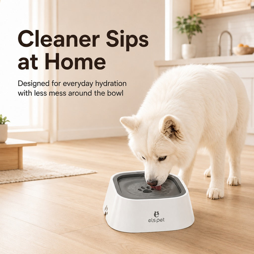 Ortekor Floating Pet Water Bowl for Home & Car - Less Splash, Cleaner Floors