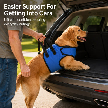 Ortekor Front Leg Support Harness for Senior Dogs – Mobility Lift Aid for Walking, Stairs & Car Rides