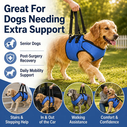 Ortekor Front Leg Support Harness for Senior Dogs – Mobility Lift Aid for Walking, Stairs & Car Rides