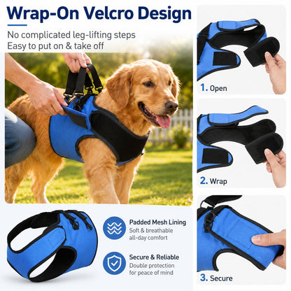 Ortekor Front Leg Support Harness for Senior Dogs – Mobility Lift Aid for Walking, Stairs & Car Rides