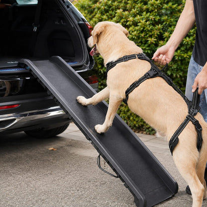 Ortekor Full Body Dog Lift Harness for Stairs & Car - Mobility Support for Weak Hind Legs