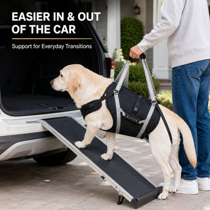 Ortekor Full-Body Dog Lift Support Harness for Large Senior Dogs - Easier Stairs, Standing & Car Entry