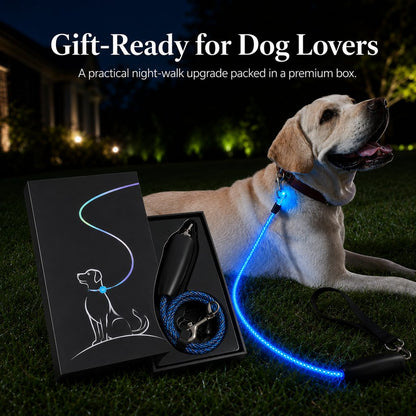 Ortekor NightGlow LED Light-Up Dog Leash for Night Walks - USB Rechargeable Safety Leash That Helps Your Dog Stay Visible in the Dark