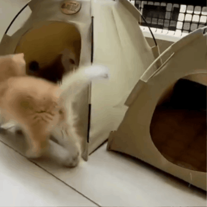 Tente douillette pour chat | Tente portable pour chat avec tapis rafraîchissant et conception respirante pour un confort absolu