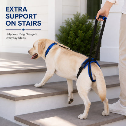 Ortekor Adjustable Dog Rear Lift Support Harness - Hind Leg Assistance for Stairs, Car Entry & Daily Walks