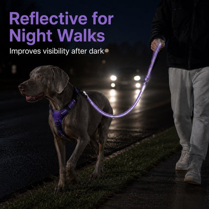 Ortekor Reflective Dog Car Seat Belt Leash for Backseat Travel & Daily Walks - Shock-Absorbing Bungee Tether to Help Reduce Pulling & Driver Distraction