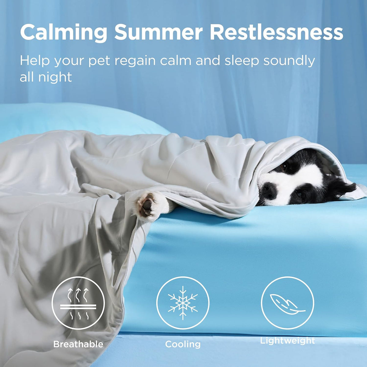 Cozy Paws | Couverture rafraîchissante pour grands chiens avec garnissage respirant Air-Core | Tapis pour chien léger et lavable pour le confort estival