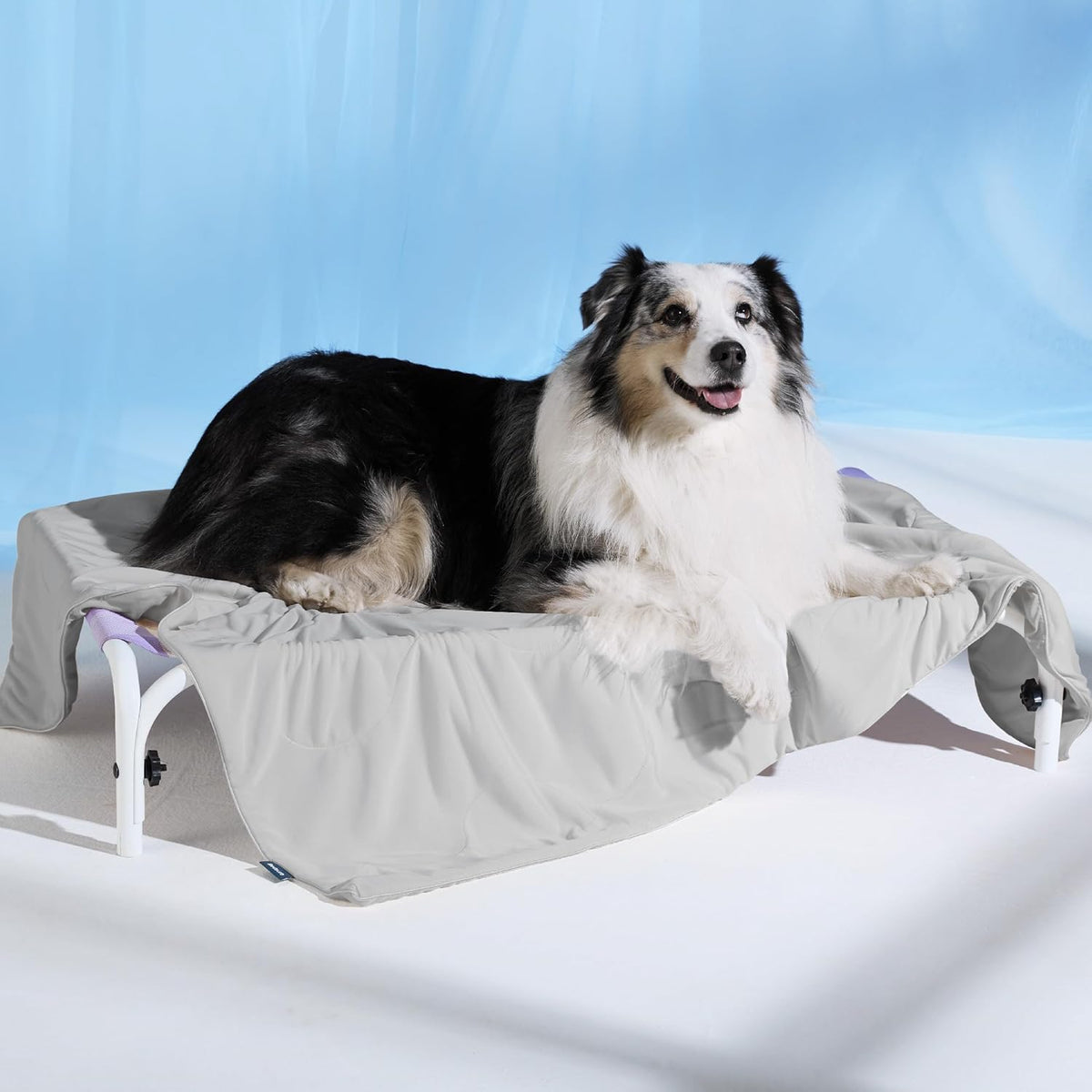 Cozy Paws | Couverture rafraîchissante pour grands chiens avec garnissage respirant Air-Core | Tapis pour chien léger et lavable pour le confort estival