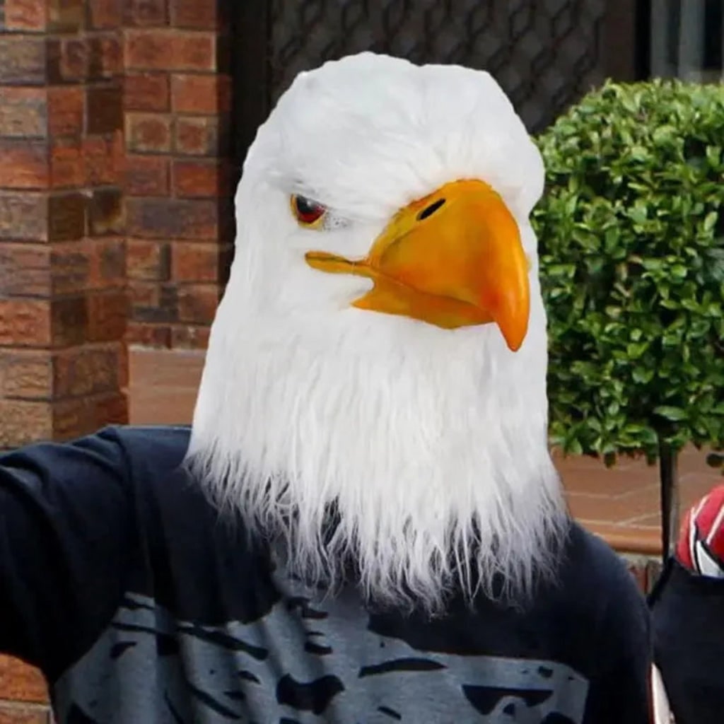 Masque de tête d'aigle | Accessoire de costume d'animal réaliste pour s'amuser à Halloween