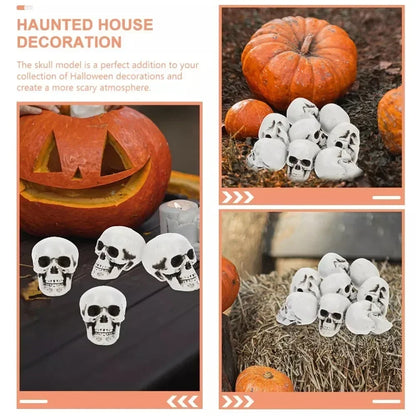 Mini Skeleton Skulls 10 Pack, Halloween Skull Decorations for Tabletop, Skeleton Heads for Halloween Skeleton Decor