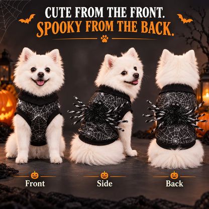 Ortekor Halloween Spider Web Dog Costume with 3D Spider - Easy Two-Leg Pet Outfit for Trick-or-Treat, Parties & Photos