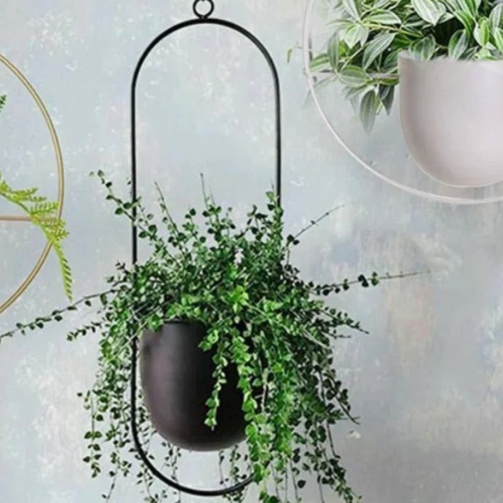 Wall-Mount Planter Pot with Circular Metal Frame for Indoor Outdoor Plants, Herbs & Succulents in Living Room, Kitchen