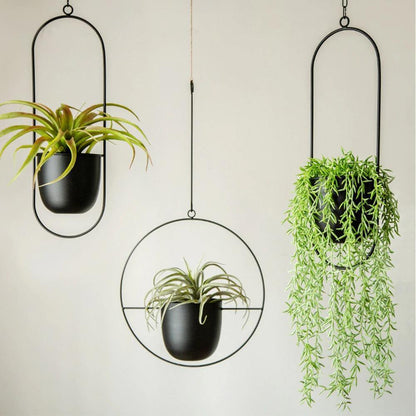 AeroHalo™ - Metal Hanging Planter
