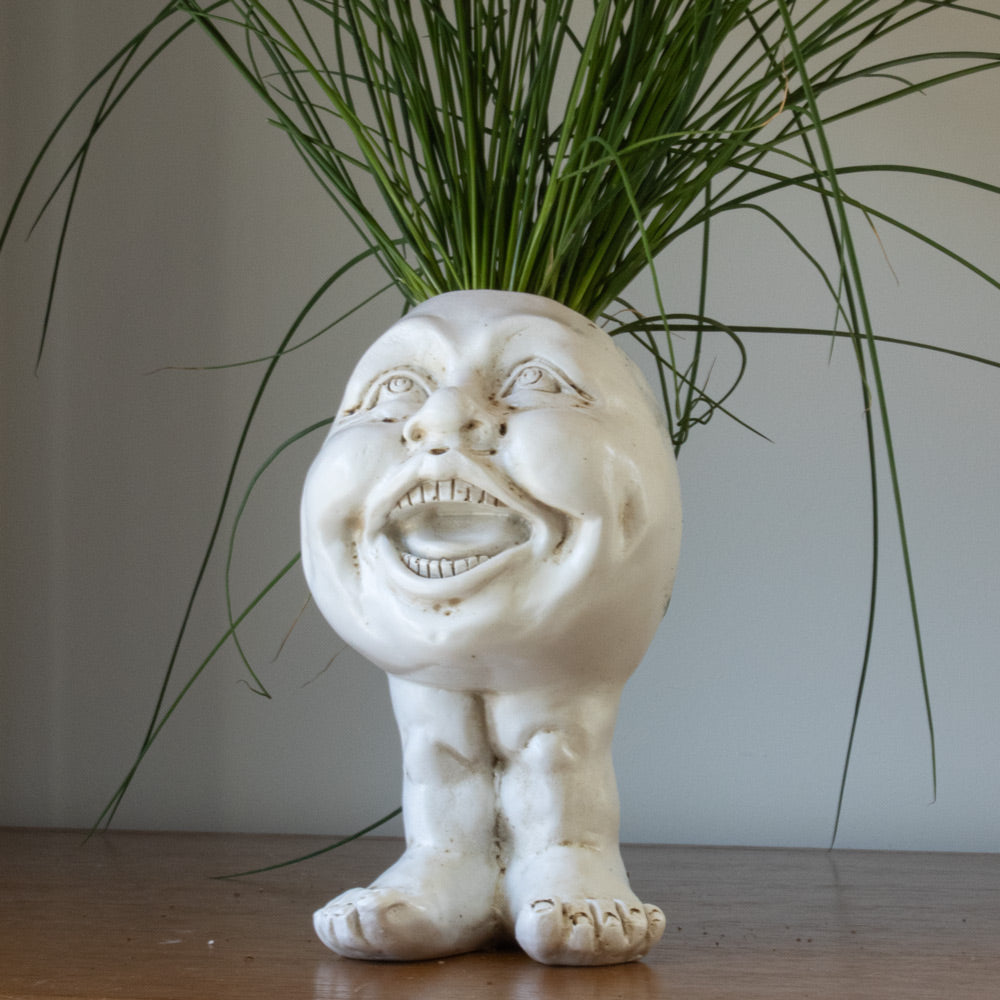 Muggly™  Planters