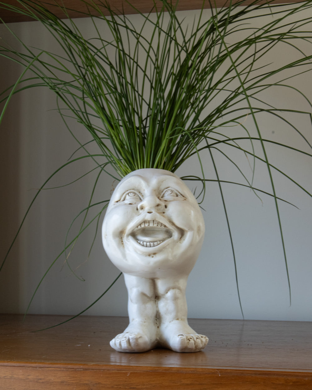 Muggly™  Planters