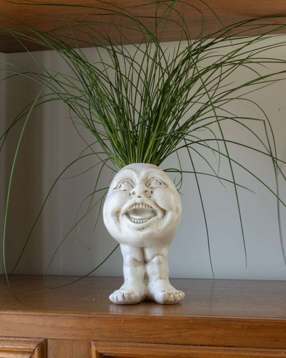 Muggly™  Planters