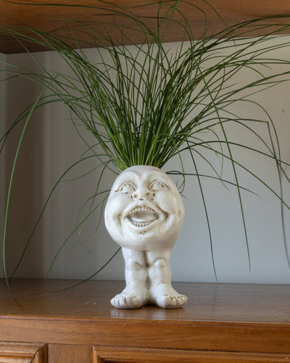 Muggly™  Planters
