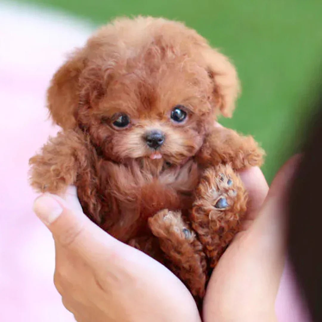 Jouet en peluche animé réaliste pour chien, fonctionnant sur piles, fourrure douce, compagnon câlin pour enfants et personnes âgées, alternative aux animaux de compagnie