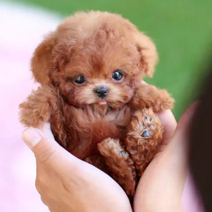Jouet en peluche animé réaliste pour chien, fonctionnant sur piles, fourrure douce, compagnon câlin pour enfants et personnes âgées, alternative aux animaux de compagnie