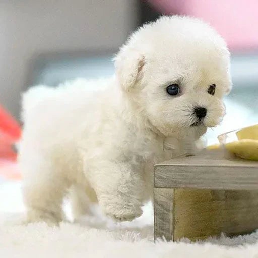 Jouet en peluche animé réaliste pour chien, fonctionnant sur piles, fourrure douce, compagnon câlin pour enfants et personnes âgées, alternative aux animaux de compagnie