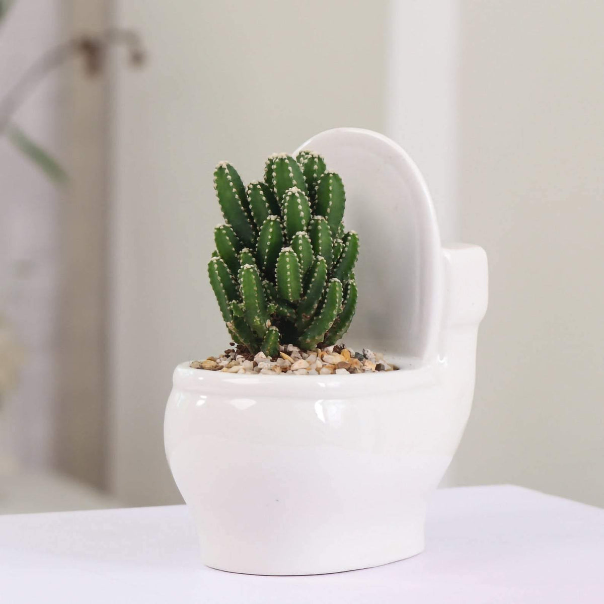 Artisan Crafted Clay Bathroom Plant Holder