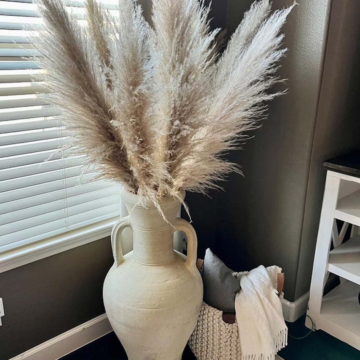Tiges d'herbe de la pampa naturelle et duveteuse pour vases | Accents floraux séchés de 40 à 76 cm pour décoration d'étagère de salon, centres de table d'événements, style bohème