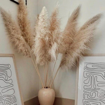 Tiges d'herbe de la pampa naturelle et duveteuse pour vases | Accents floraux séchés de 40 à 76 cm pour décoration d'étagère de salon, centres de table d'événements, style bohème