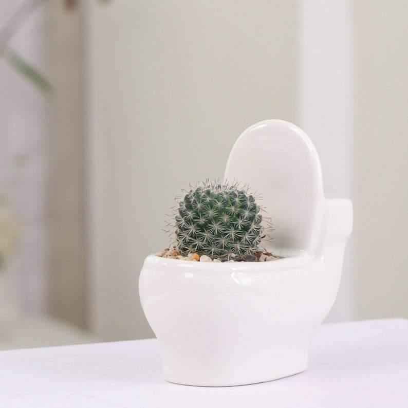 Artisan Crafted Clay Bathroom Plant Holder