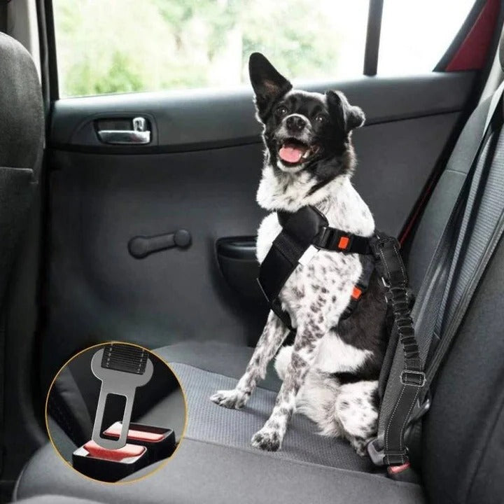 Harnais de voiture sécurisé pour animaux de compagnie avec sangle rembourrée et amortisseur