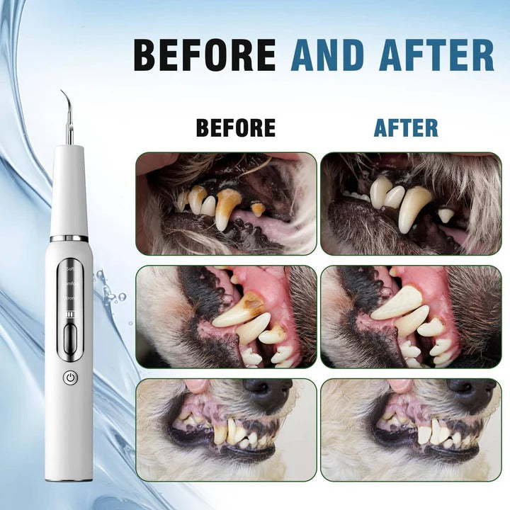 Nettoyant facile pour les dents des chiens