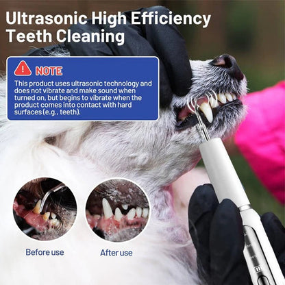 Nettoyant facile pour les dents des chiens